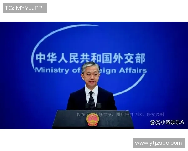 赖斯的外交智慧与全球影响力探讨：重塑国际关系的新篇章